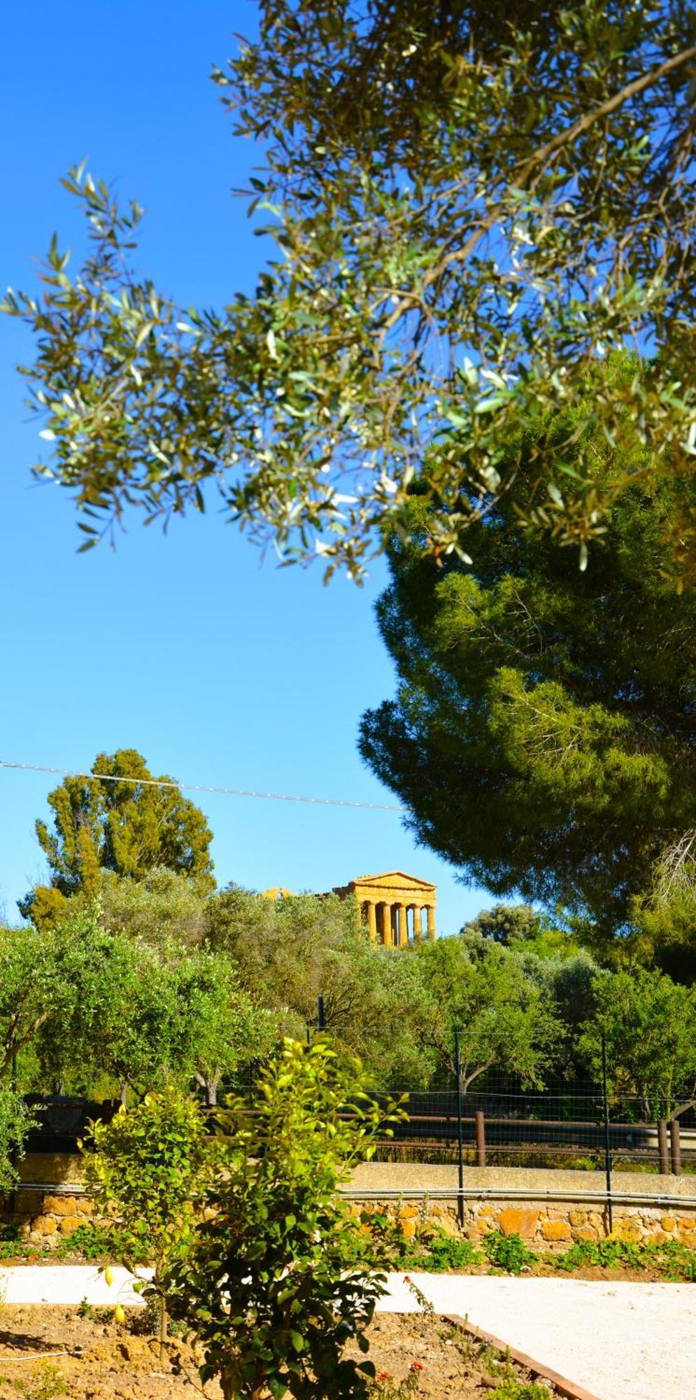 Il Giardino Del Tempio Bed & Breakfast Agrigento Bagian luar foto