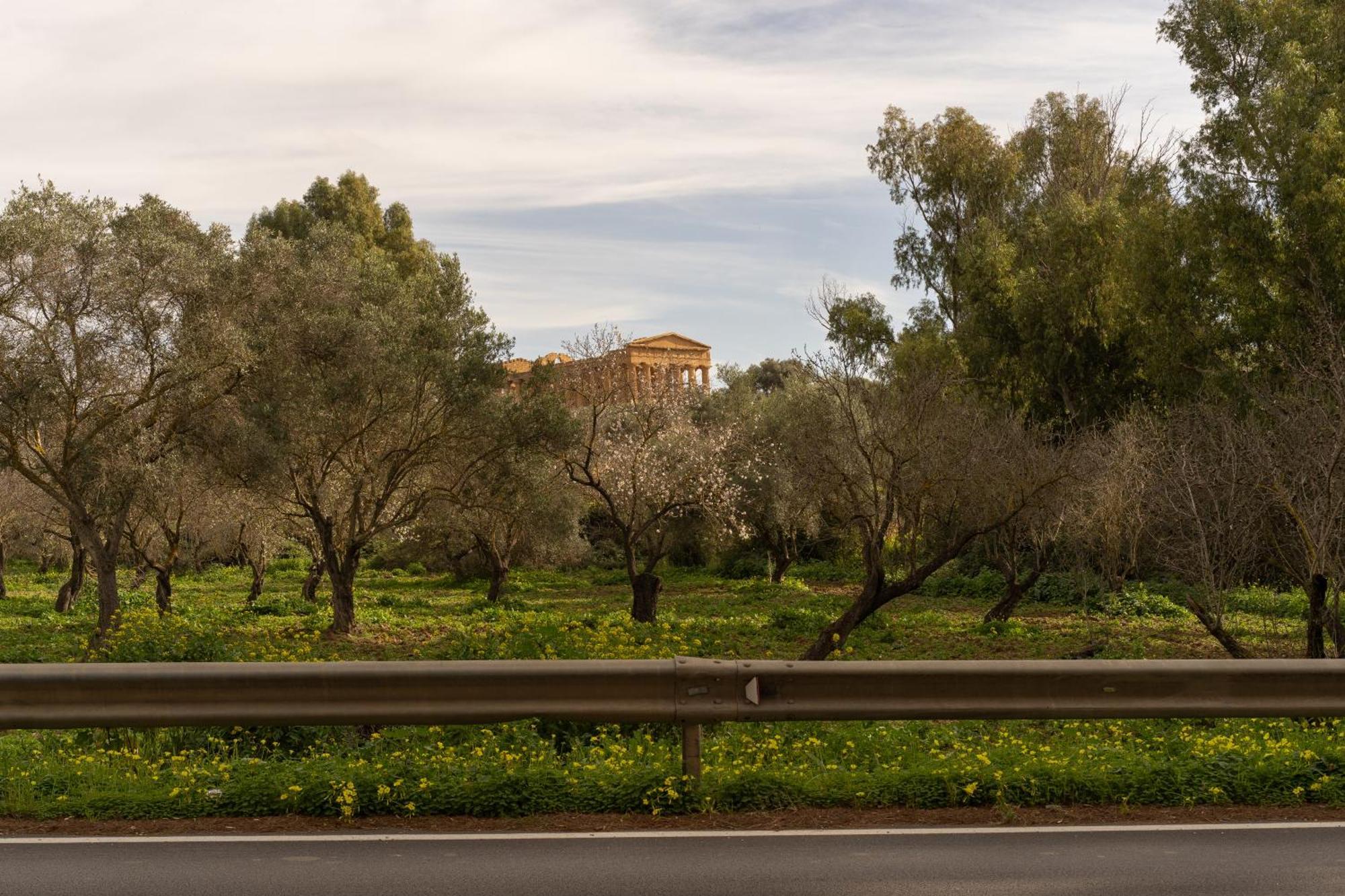 Il Giardino Del Tempio Bed & Breakfast Agrigento Bagian luar foto